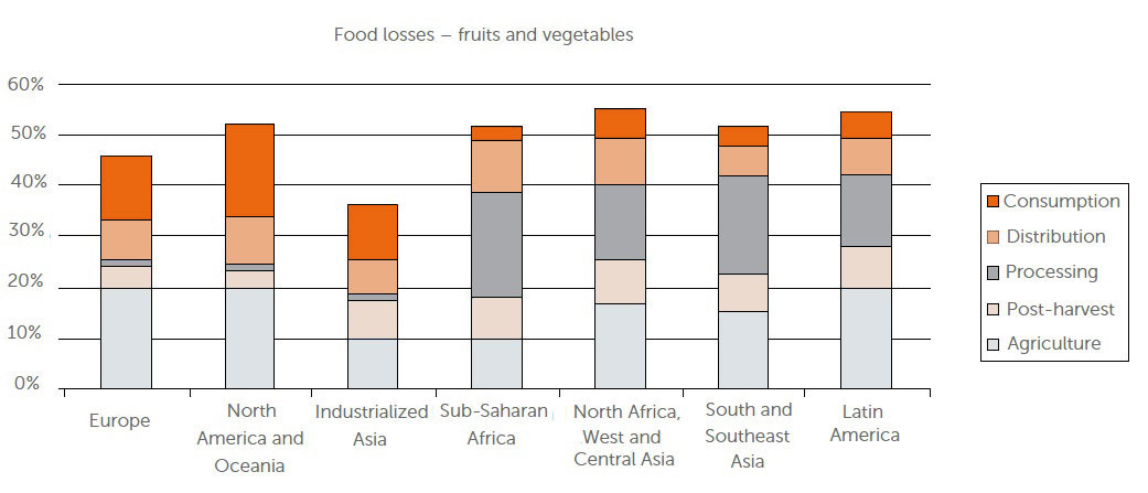 Chart of the fruit and vegetables losses of different continents