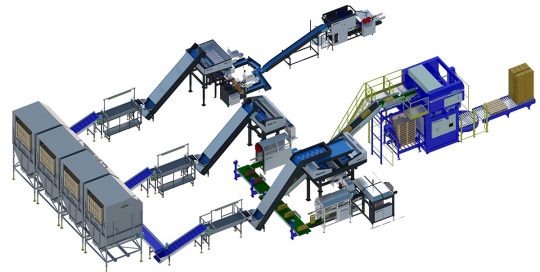 onion packaging line feature image