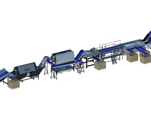 Carrot processing line 450 series (1)