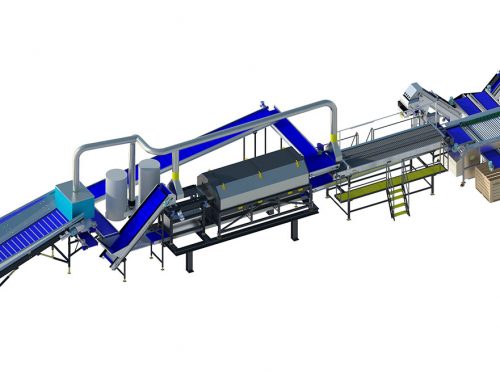 Onion processing line A3 series (1)